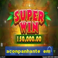 aconpanhante em porto alegre